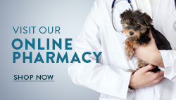 Online Pharmacy Banner